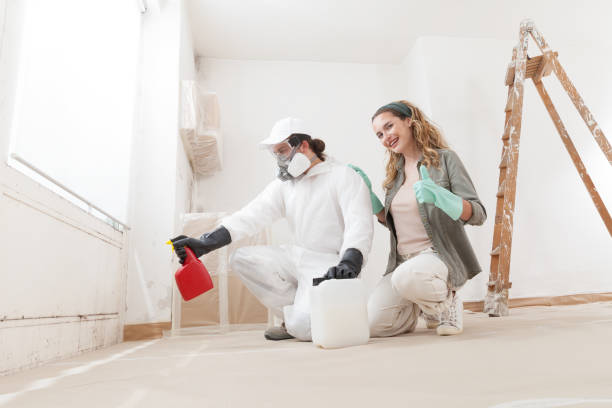 Best Mold Removal for HVAC Installations  in Centreville, MS